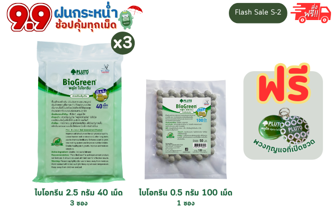 9.9 โปรช้อปคุ้มทุกเม็ด (Flash Sale S-2)